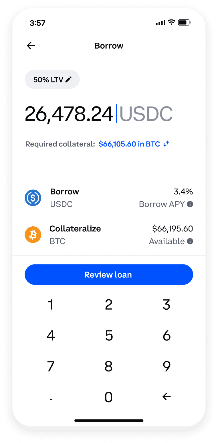 Loan input screen